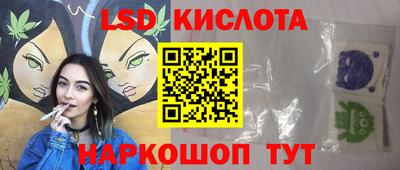 прущие грибы Краснознаменск