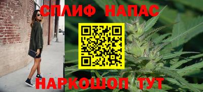 прущие грибы Краснознаменск
