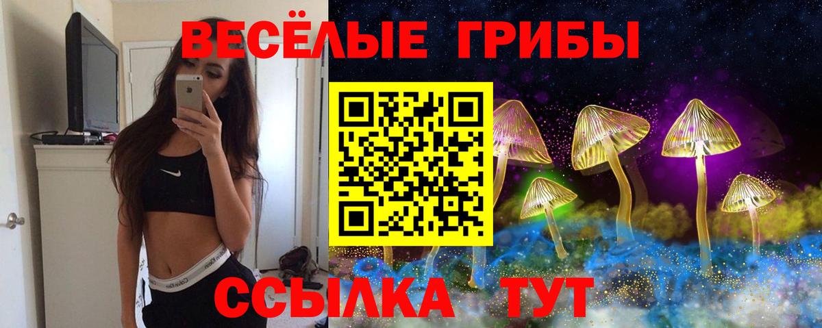 Арсеньев  Галлюциногенные грибы мухоморы  наркота  Вход с VPN 