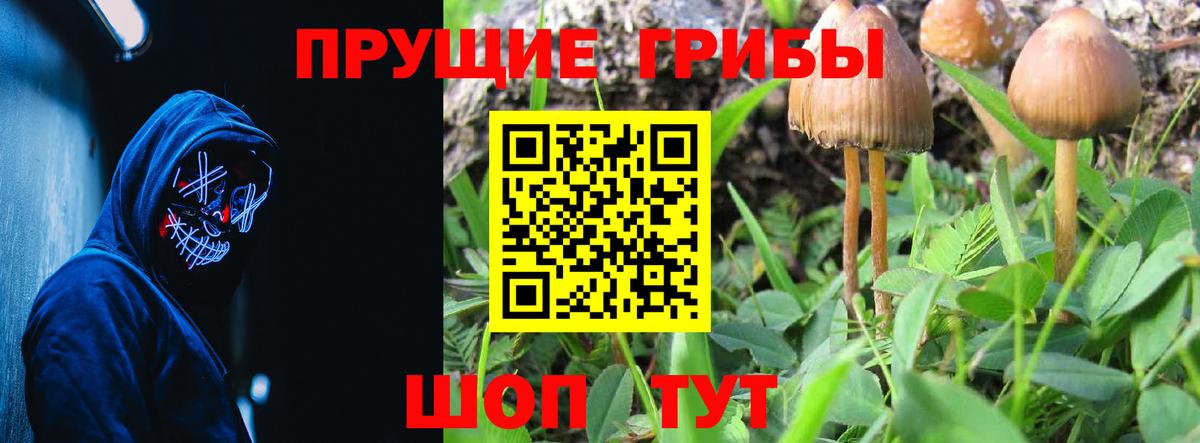 Псилоцибиновые грибы ЛСД Арсеньев